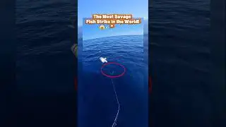🔥🔥🔥💀The Most Savage Fish Strike in the World! 😱🎣&rdquo; #Fishing #epiccatch #Foryou #oceanfishing