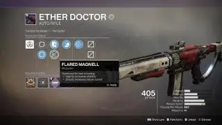 Destiny 2 Ether Doctor autorifle