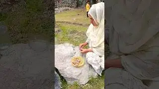 Cooking Rice in Big Pumpkin || Big Pumpkin | Organic Village Lifestyle