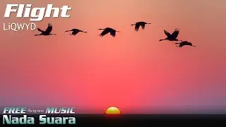 Future Chill Music For Your Video - LiQWYD - Flight