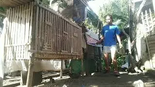 #daly morning  #patuka #pasisiw