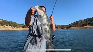 Chasing Striper Boils
