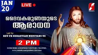 JAN 20|ദൈവകരുണയുടെ ആരാധന|Karuna kontha|FR SEBASTIAN NEDIYANI VC|DIVINE ADORATION|Aradhana|GOODNESS