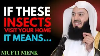 6 Warnings from Allah When Insects Visit Your House | A Serious Reminder by Mufti Menk
