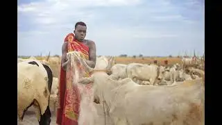 Joh 