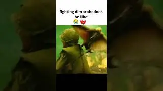 fighting dimorphodons be like:😭💔🥀|ARK #ark #meme #funny #arkascended #dinosaur