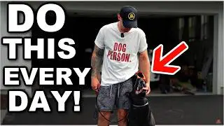 3 Dog Exercises You Should Do EVERY DAY!