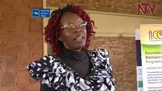 Government, sector players disagree on seed policy