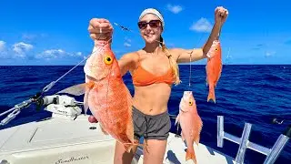 Yellow Eye SNAPPER Caught on Electric Reel {Catch, Clean and Cooked Whole} Key West Style