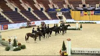 Class 35   Junior Hunter Under Saddle