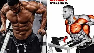 Build a Massive Chest | 6 Exercises for Full Chest Growth&rdquo;