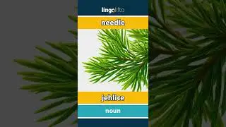 🇬🇧🇨🇿 needle - jehlice : learn English : učme se anglicky : vocabulary builder