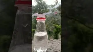 Simple Science Experiment at home | The Experiment Cinema | #shorts #scienceexperiment