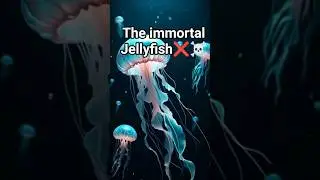 the immortal JellyFish🌊🪼#ai #shorts #animation #jellyfish #sea