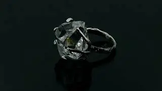 6 Claw Prong Ring in Sterling Silver by Anderson-Beattie.com