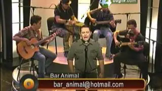 Bar Animal Una Historia Que Creer Canal 44 UDGTV