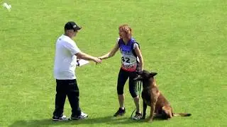 Adonis Na-La Dvor, Czech Championship FCI IPO 2018 defence evalution, 99 points