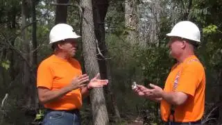 How Should I Maintain My Bat House - with Jim Kennedy