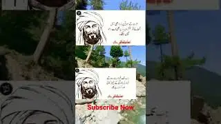 Imam Malik Quotes | Imam Abu Hanifa Quotes | Imam Shafi advice | Imam Ghazali Quotes | Imam Bukhari