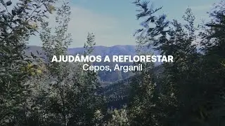 Ajud&aacute;mos a Reflorestar Cepos-Arganil 🙌 | Wondercom Group