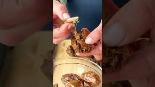 Almond Joy Chocolate Dates