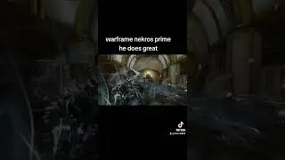 warframe nekros primehe does great 