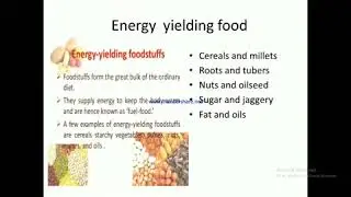 CLASSIFICATION OF RAW MATERIALS INTO FOOD GROUP PART 1