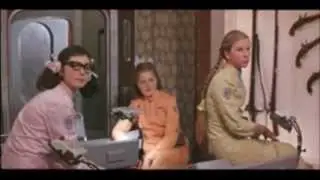 Morning Spy - 