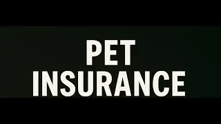 PhoneOps Insurance - Pet Insurance