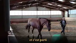 Jouer au ballon pour souder notre équipe