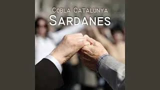 Sota El Mas Ventós