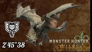[MHWilds] Arena rathian 2'45