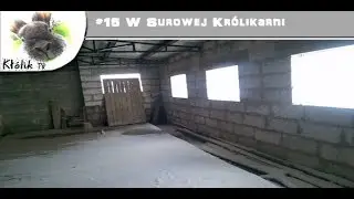 Kłólik TV - #15 W Surowej Królikarni