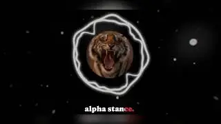 ALPHA MINDSET ft. AMR | Fearless, Relentless, Unstoppable | New English Song 2025 | Pixel Beats