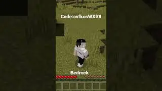 Bedrock server. Chill smp