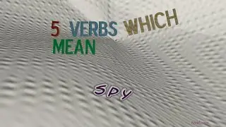 spy - 5 verbs which are synonyms of spy (sentence examples)