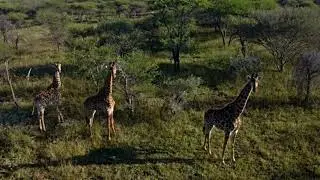 340 HECTARE FARM FOR SALE: MOOGOPONG, NABOOMSPRUIT