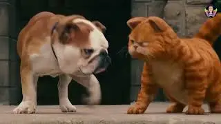 Garfield Movie Scene in gy | Part - 3 | Tamil dubbed movie | Movie Clip