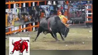 Rodeo extremo