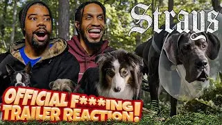 Strays Official F***ing Trailer Reaction