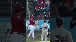 Foul ball hits man&rsquo;s beer and explodes on his face! #funny #baseball #beer #trending #funnyvideos