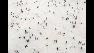 Intelligence collective : un panorama