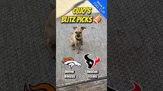 Cujo&rsquo;s Blitz Picks | Denver Broncos vs Houston Texans 🐕 NFL Week 9 Predictions