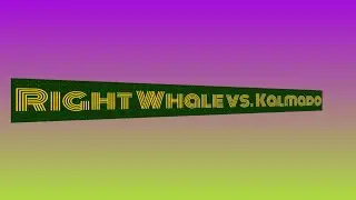 Right Whale vs Kalmado 40rty up basketball club 