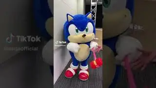 [TikTok] - Sonic dancing with a banjo clip