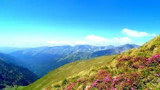 Romania. ARGES. Muntii Fagaras. Valea Buda - Vf. Moldoveanu 2544m.  Mai 2014