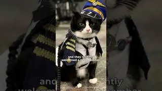 Airport&rsquo;s Therapy Animal Team #news #facts #shorts