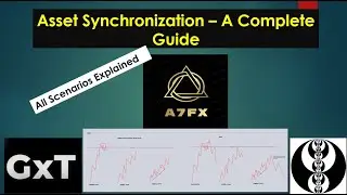 Asset Synchronization 