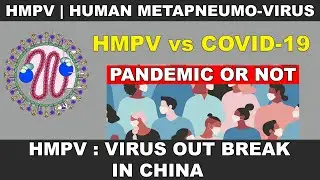 HMPV Virus Outbreak 🦠 HMPV vs Covid-19 | All You Need to Know 2025