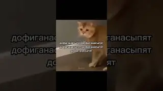 повторять нужно каждый день